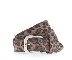 Vanzetti Gürtel Taupe-dunkelbraun | Nos 01.11.2021-08.11.2021